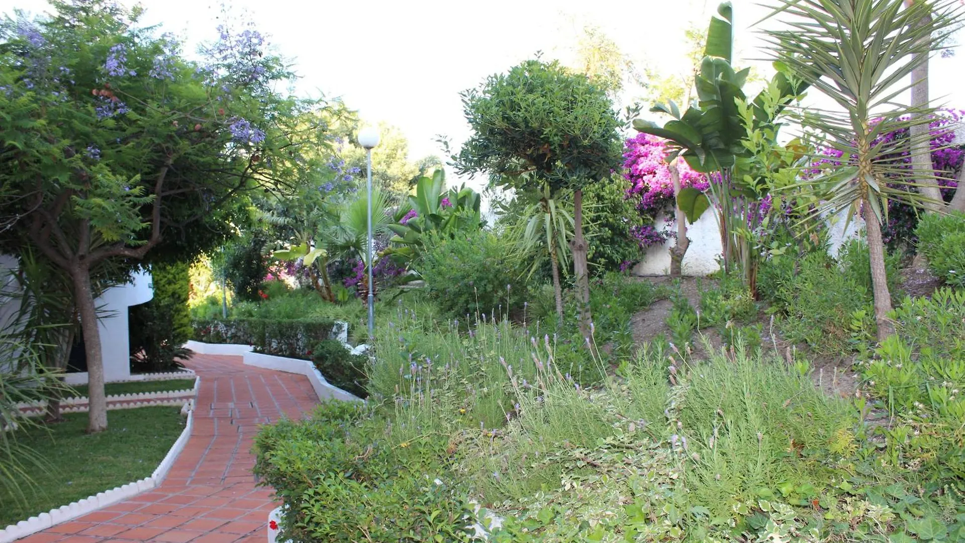Lägenhet Apartamentos Las Rosas De Capistrano Nerja Spanien